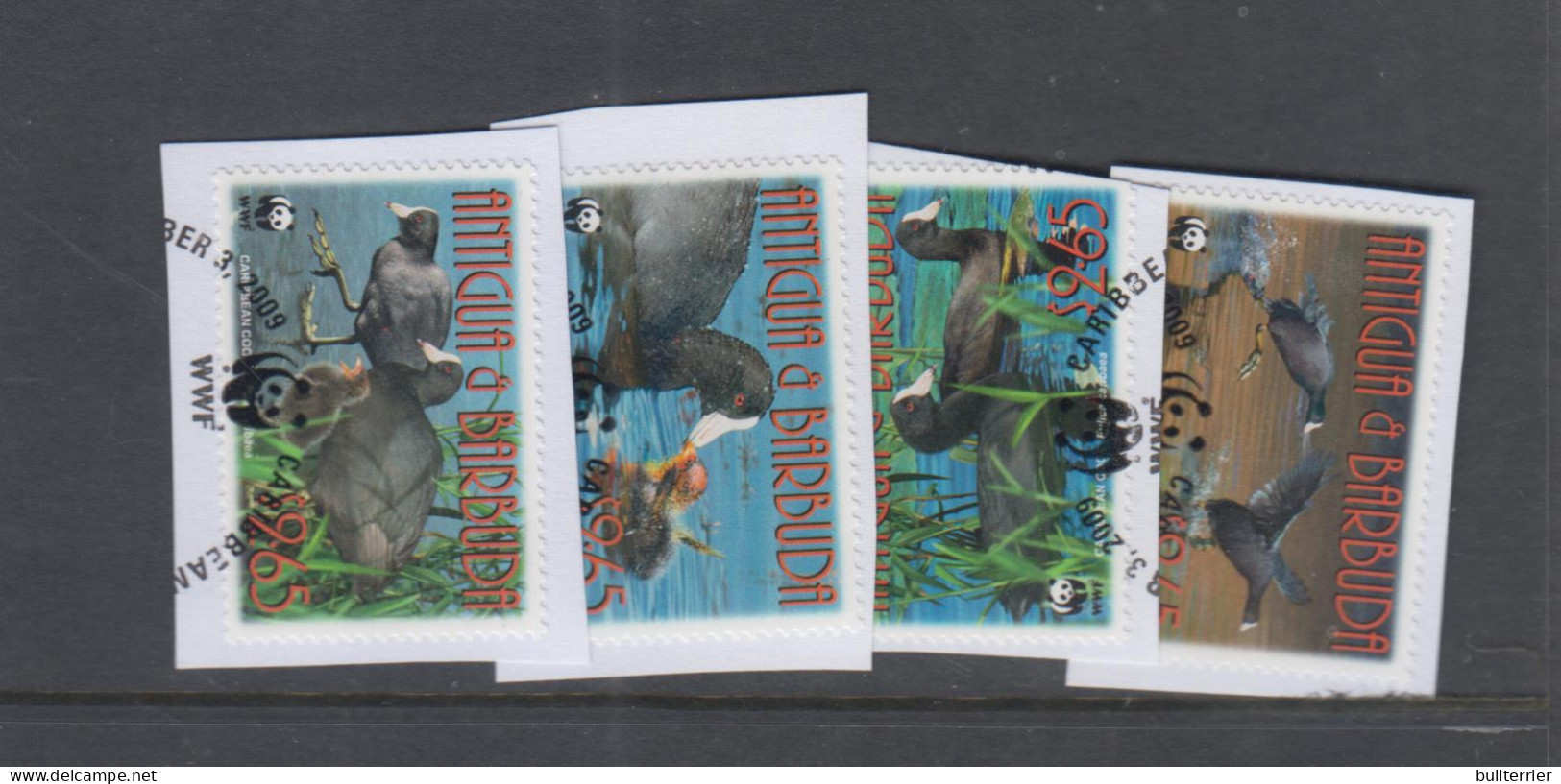 BIRDS - ANTIGUA - 2009 - WWF / COOT SET OF 4 FINE USED  - Duiven En Duifachtigen