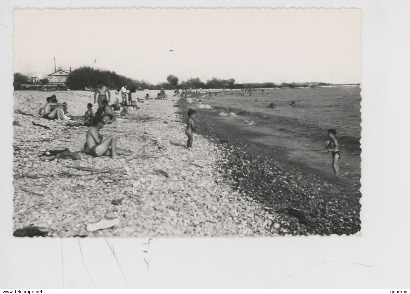 Saint Laurent Du Var : La Plage (cp N°1136 Azur Animée) - Saint-Laurent-du-Var