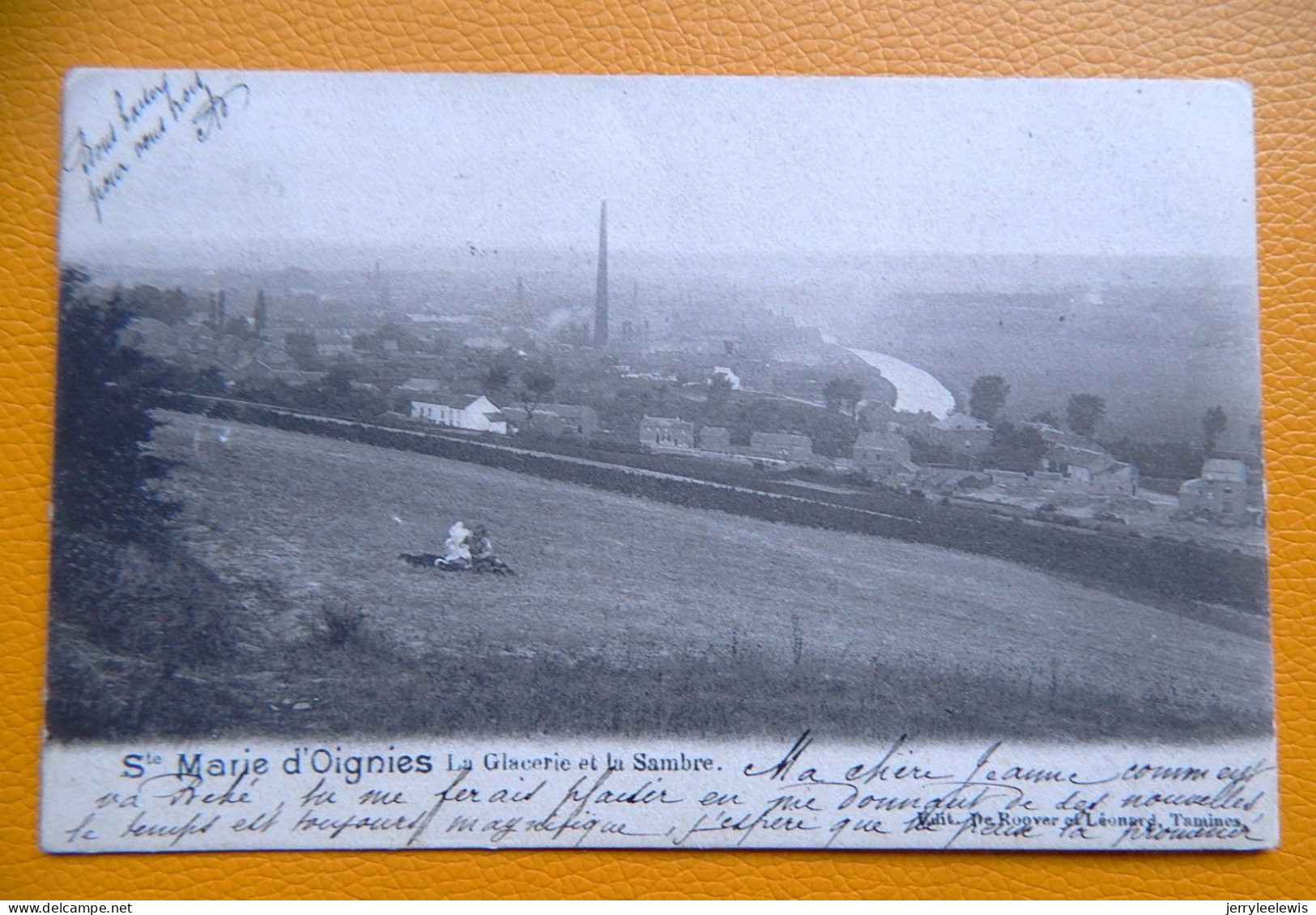 SAINTE-MARIE D' OIGNIES  (Aiseau-Presles)  - La Glacerie Et La Sambre  -  1901 - Aiseau-Presles