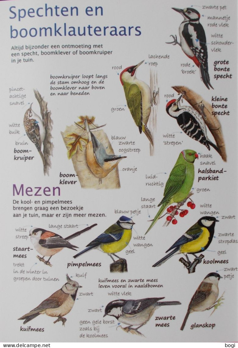 Natuurpunt Kijkkaart Tuinvogels Spechten, Boomklauteraars, Duiven, Mezen, Kraaiachtigen, Sperwer, Kleine Zangvogels - Scolastici