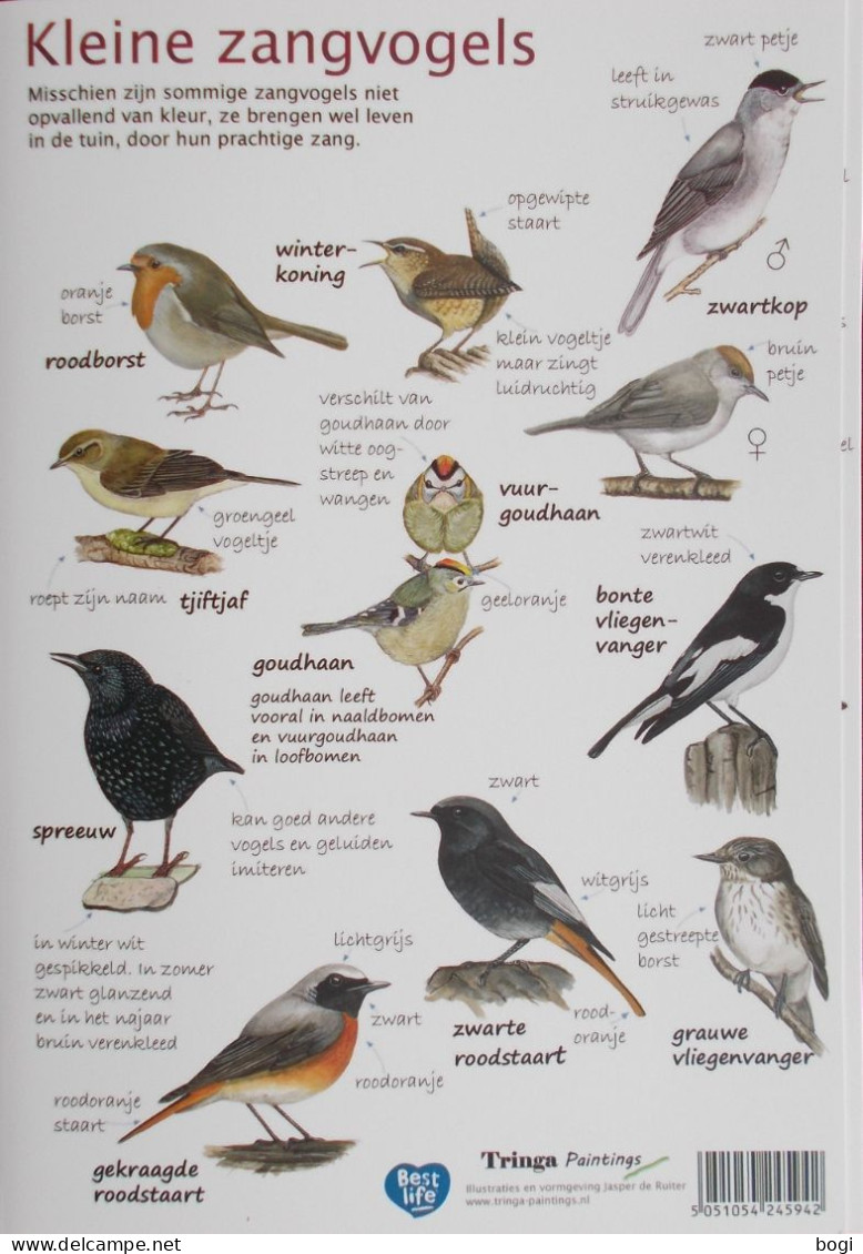 Natuurpunt Kijkkaart Tuinvogels Spechten, Boomklauteraars, Duiven, Mezen, Kraaiachtigen, Sperwer, Kleine Zangvogels - Scolastici