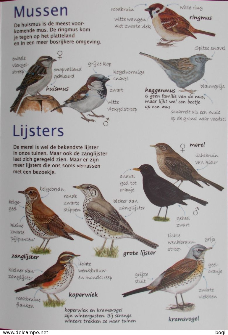 Natuurpunt Kijkkaart Tuinvogels Spechten, Boomklauteraars, Duiven, Mezen, Kraaiachtigen, Sperwer, Kleine Zangvogels - Escolares