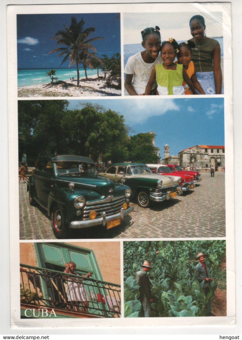 Timbre , Stamp De 1994 " Mammifère Marin , Dauphin : Tursiops Truncatus " Sur CP, Carte , Postcard Du ? ( Pli Angle Inf) - Covers & Documents