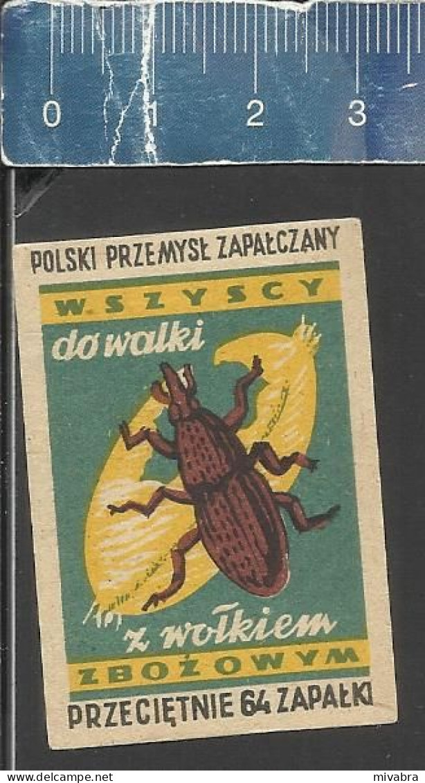 FIGHT THE WHEAT WEEVIL BEETLE - POLSKI PRZEMYSL ZAPALCZANY -  OLD MATCHBOX LABEL POLAND - ISSUED BETWEEN 1951-1954 - Boites D'allumettes - Etiquettes