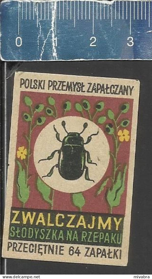 FIGHT THE TURNIP BEETLE - POLSKI PRZEMYSL ZAPALCZANY -  OLD MATCHBOX LABEL POLAND - ISSUED BETWEEN 1951-1954 - Boites D'allumettes - Etiquettes