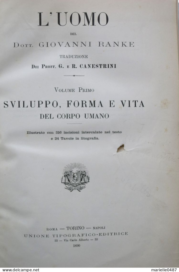 RANKE, Giovanni - L'uomo Del Dott. Giovanni Ranke. 1890 - Livres Anciens