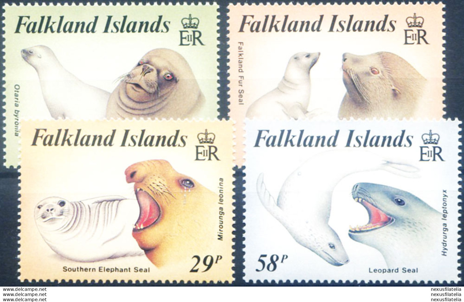 Fauna 1987. - Falkland