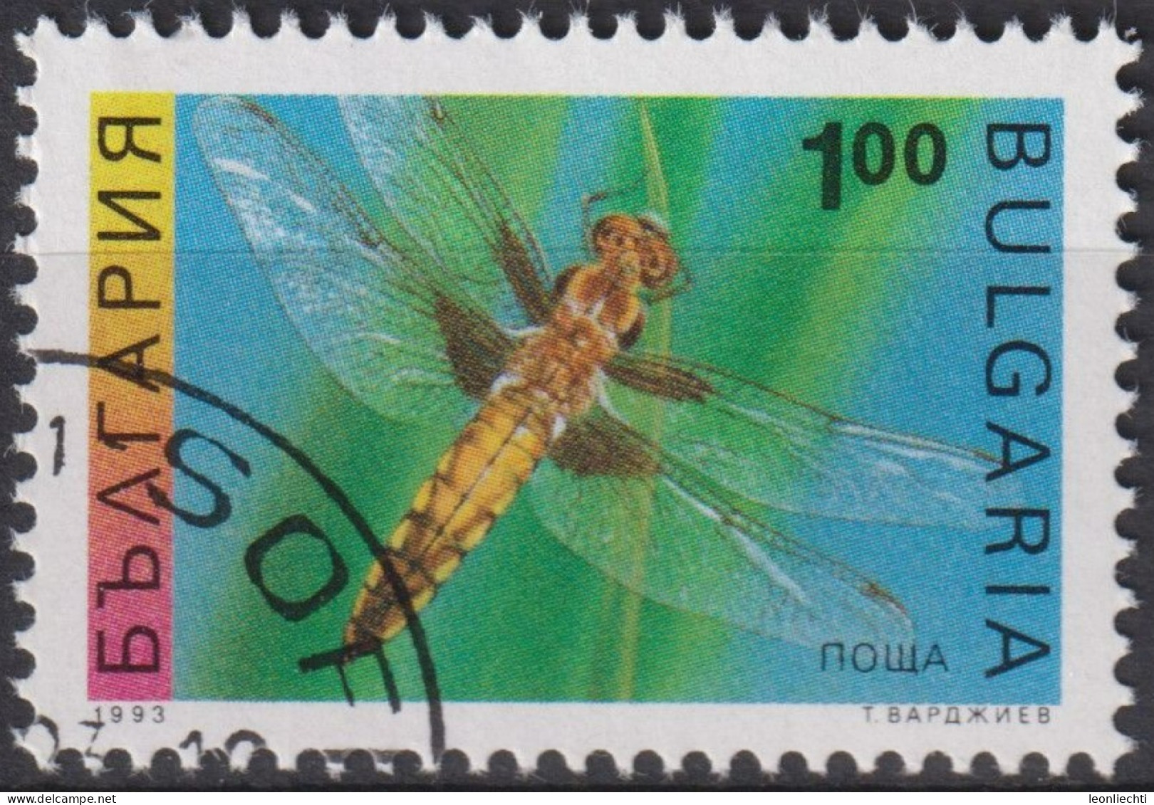 1993 Bulgarien ° Mi:BG 4093, Sn:BG 3710, Yt:BG 3545, Insekten, Four-spotted Chaser (Libellula Quadrimaculata) - Usati