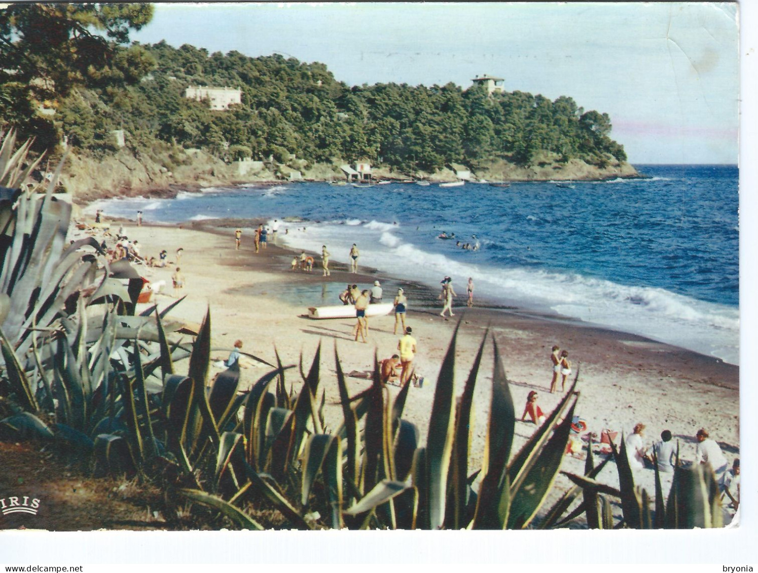 CPM - 83 - LE RAYOL -  Le Canadel - Plage - 1960 - BE - - Rayol-Canadel-sur-Mer