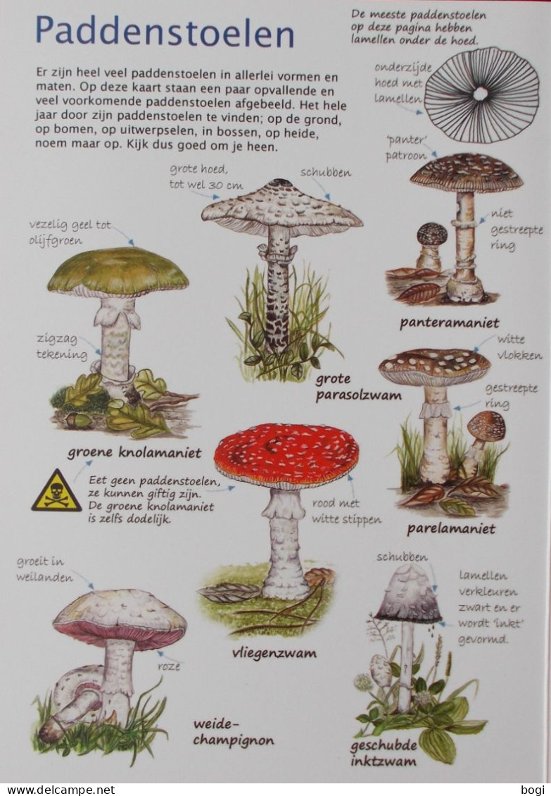 Natuurpunt Kijkkaart Paddenstoelen - Escolares