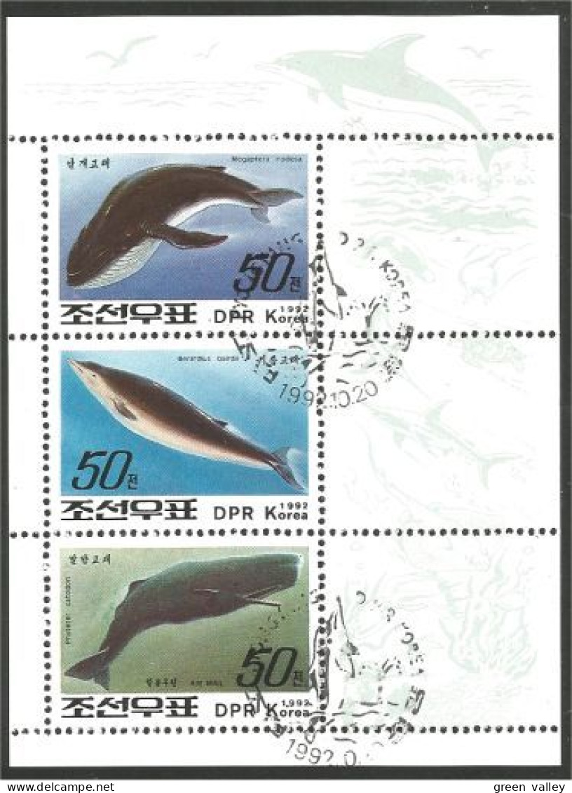 Korea Dauphin Dolphin Whale Baleine ( A54 24) - Dolphins