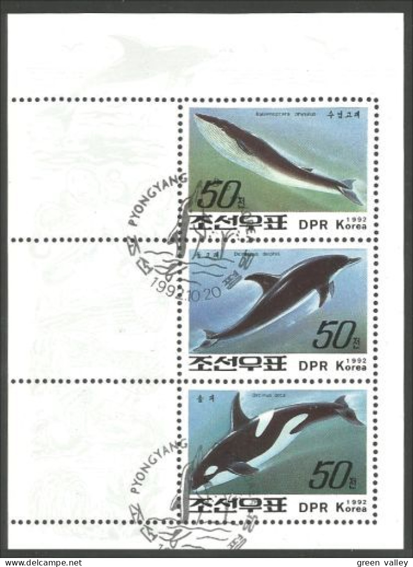 Korea Dauphin Dolphin Whale Orca Baleine Orque ( A54 23) - Dolfijnen