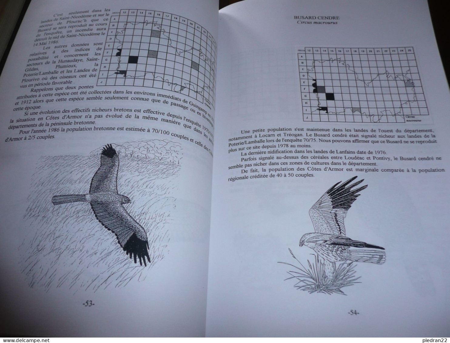 BRETAGNE OISEAUX NICHEURS DES COTES D'ARMOR ORNITHOLOGIE 148 ESPECES ENTRE 1980 ET 1990 GEOCA 1998 - Bretagne