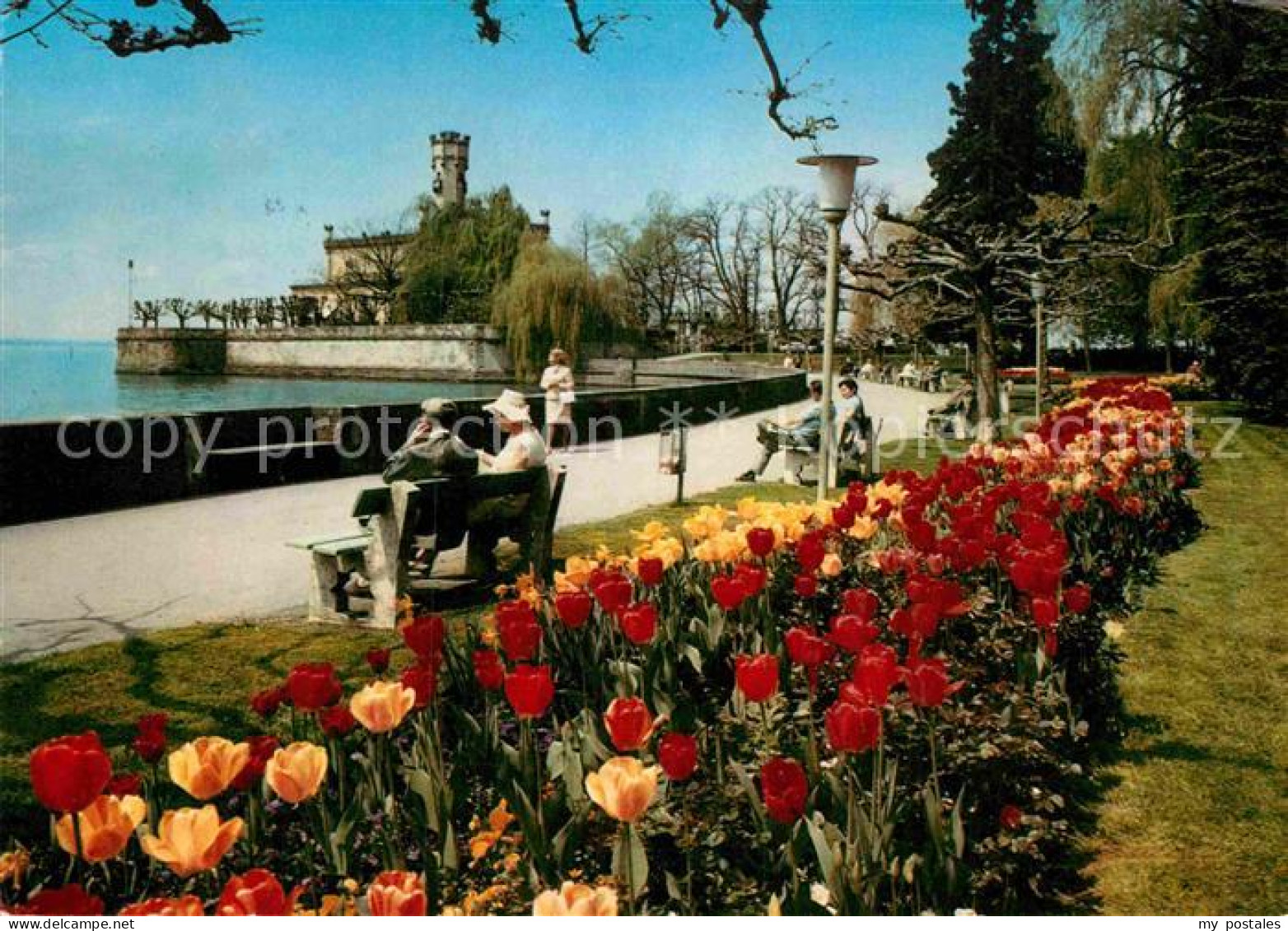 72910983 Langenargen Bodensee Seepromenade Schloss Montfort Tulpenbeet Langenarg - Langenargen