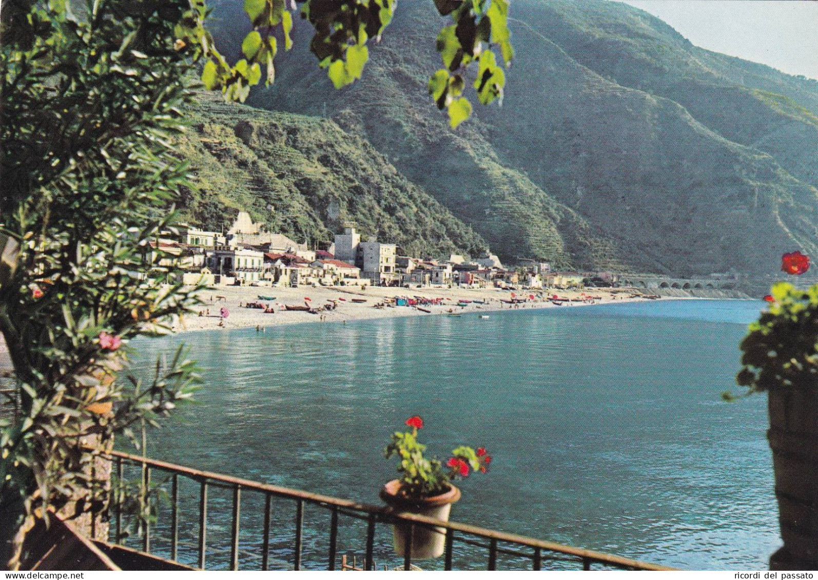 Cartolina  La Costa Viola ( Reggio Calabria ) Scilla - Lido Delle Sirene - Lamezia Terme