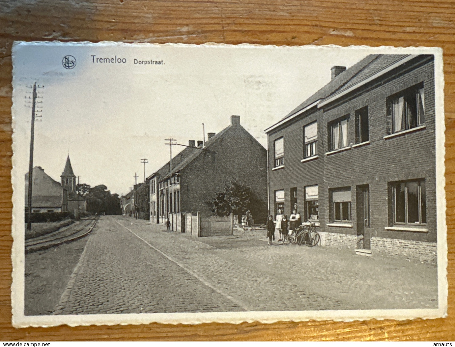 Tremelo Dorpsstraat Animatie Verstuurd 1955 Stempel “dieren Mishandelen Vernedert De Mens” - Tremelo