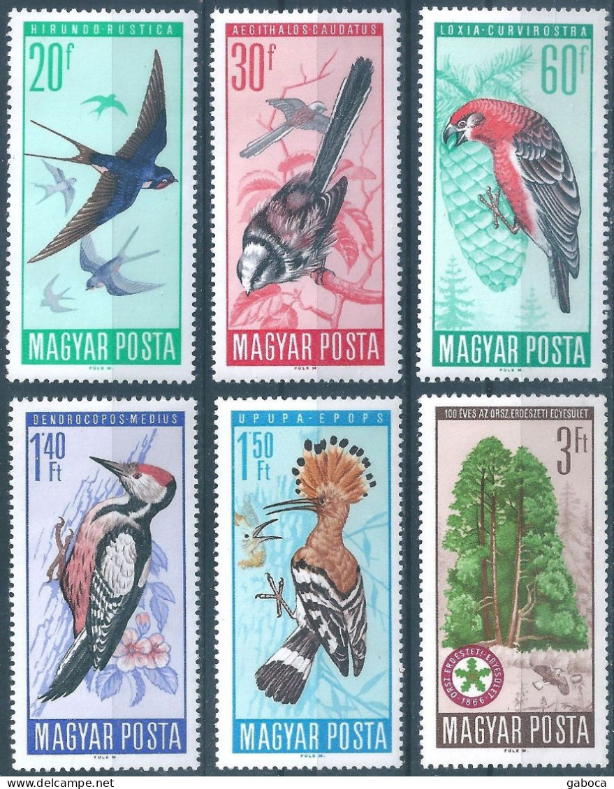 C5643 Hungary Fauna Birds Nature Protection Forest Tree Full Set MNH - Climbing Birds