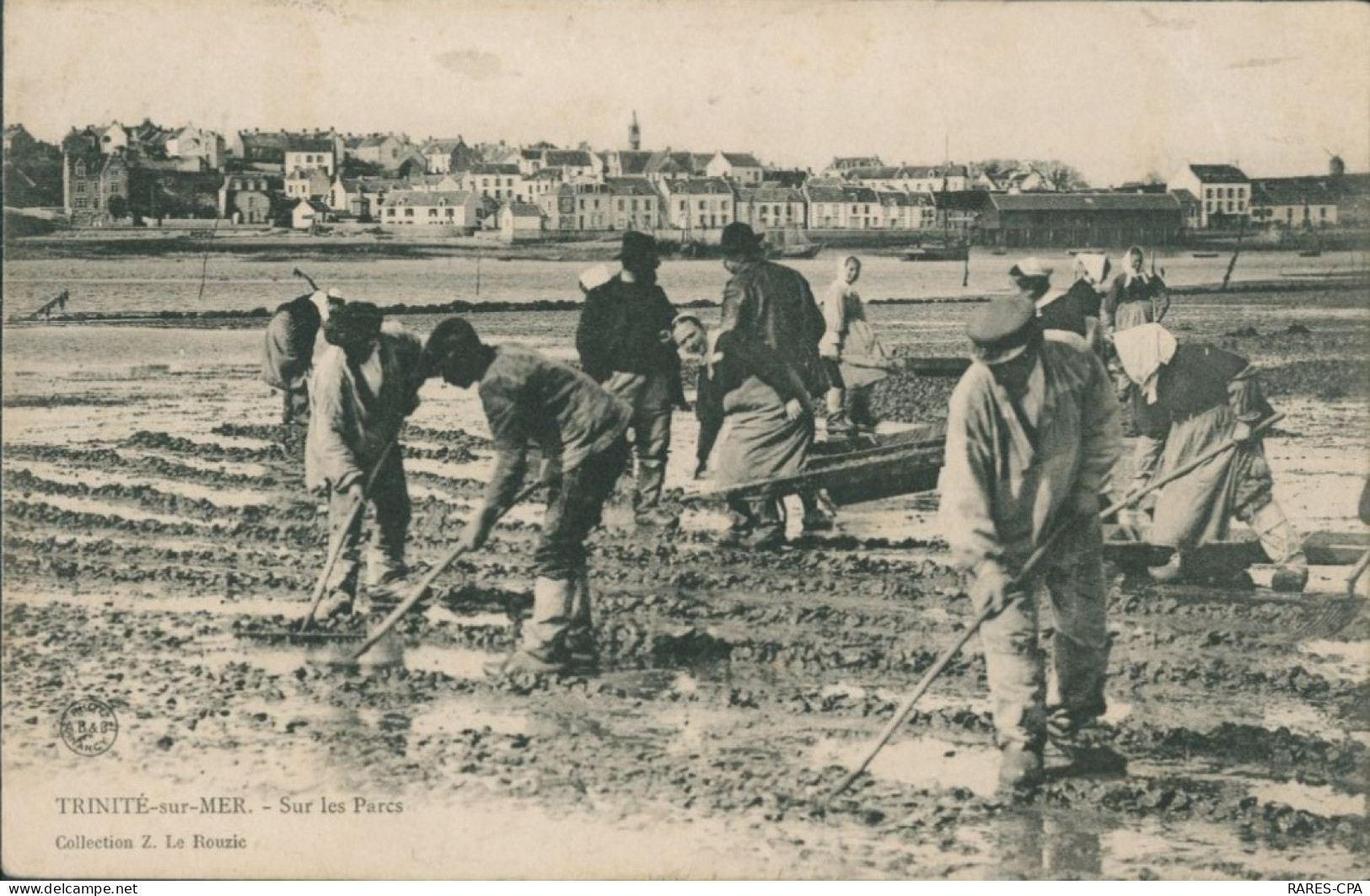 56 TRINITE SUR MER - SUR LES PARCS - RARE - La Trinite Sur Mer