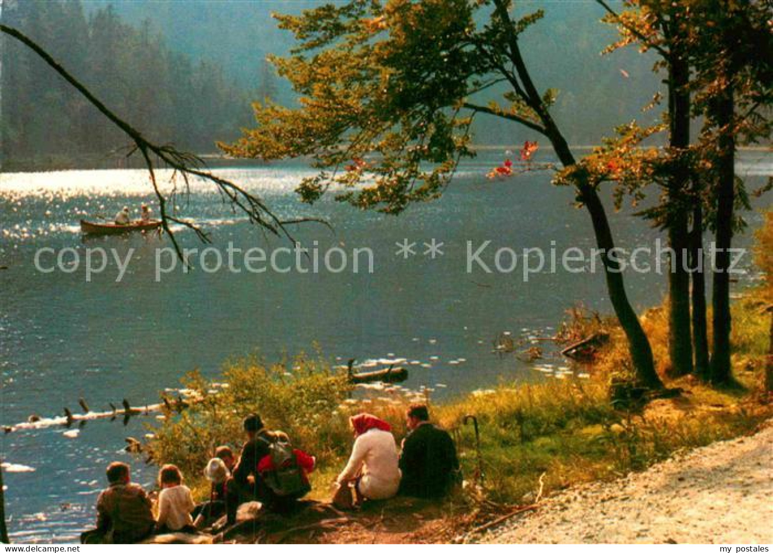 72905890 Regen Grosser Arbersee Regen - Regen