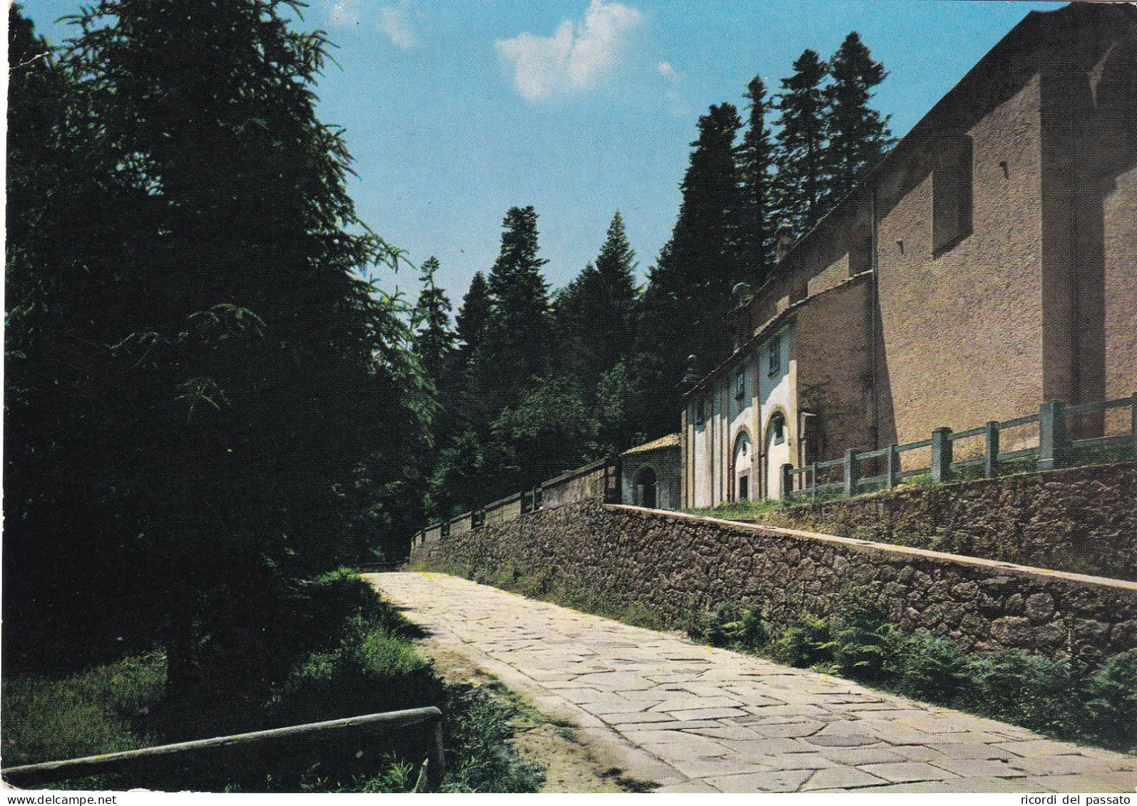 Cartolina Serra San Bruno ( Vibo Valentia ) Località Santa Maria - Vibo Valentia