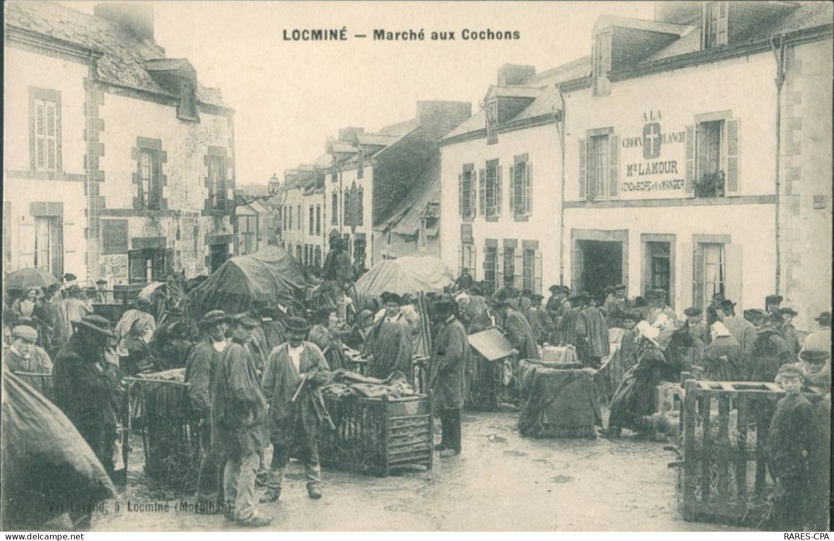 56 LOCMINE - MARCHE AUX COCHONS - Locmine