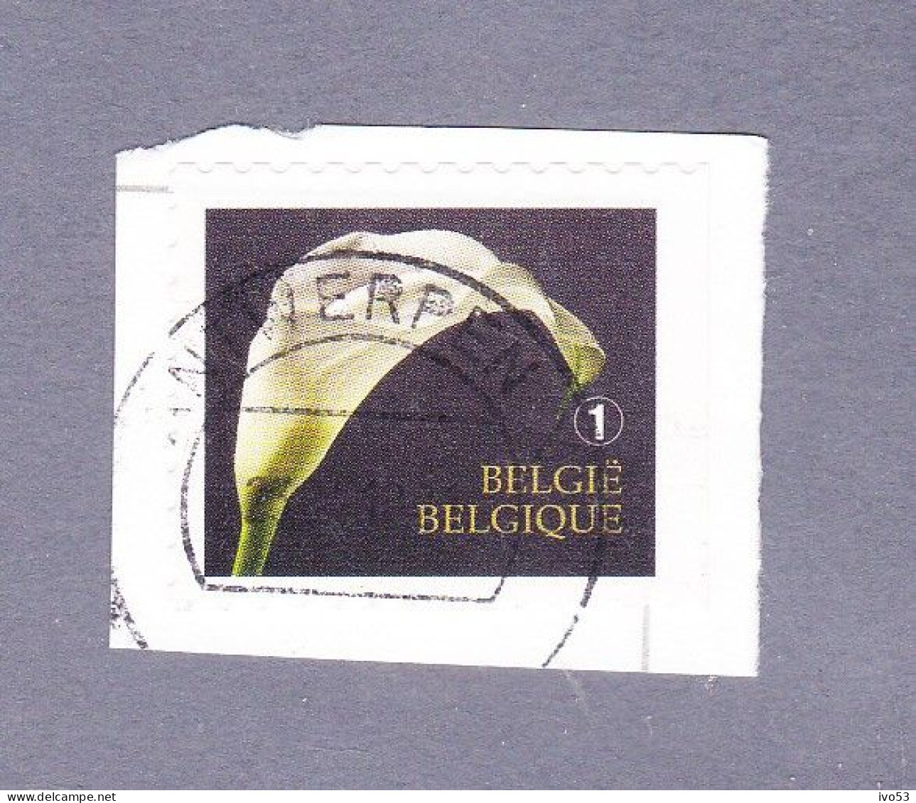 2013 Nr 4368a Gestempeld Op Fragment,zegel Uit Boekje B142.Rouwzegels / Timbres De Deuil. - Usados