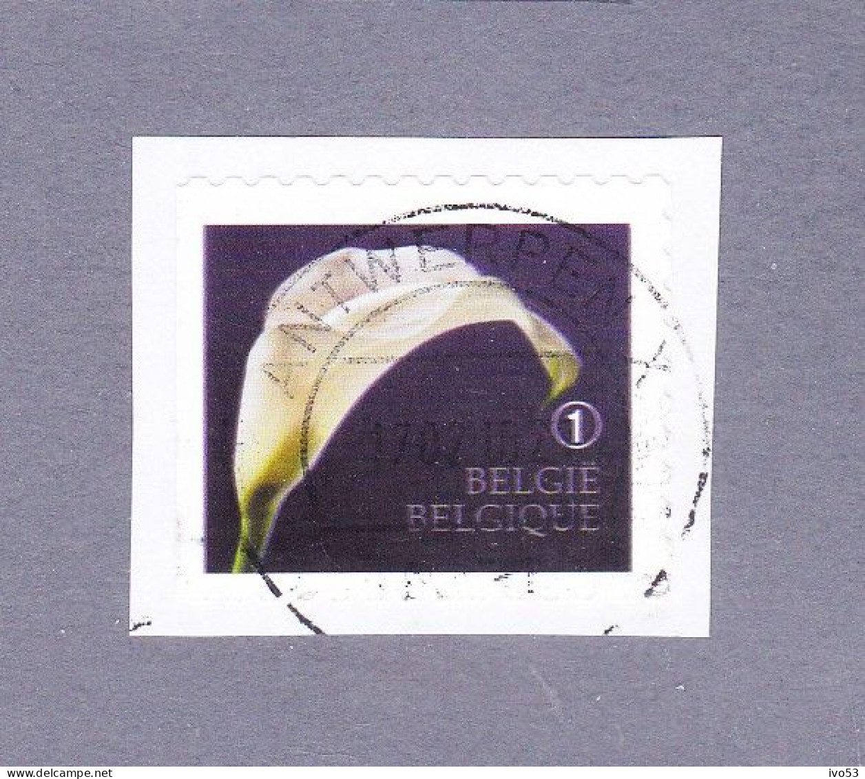 2013 Nr 4368 Gestempeld Op Fragment,zegel Uit Boekje B142.Rouwzegels / Timbres De Deuil. - Used Stamps