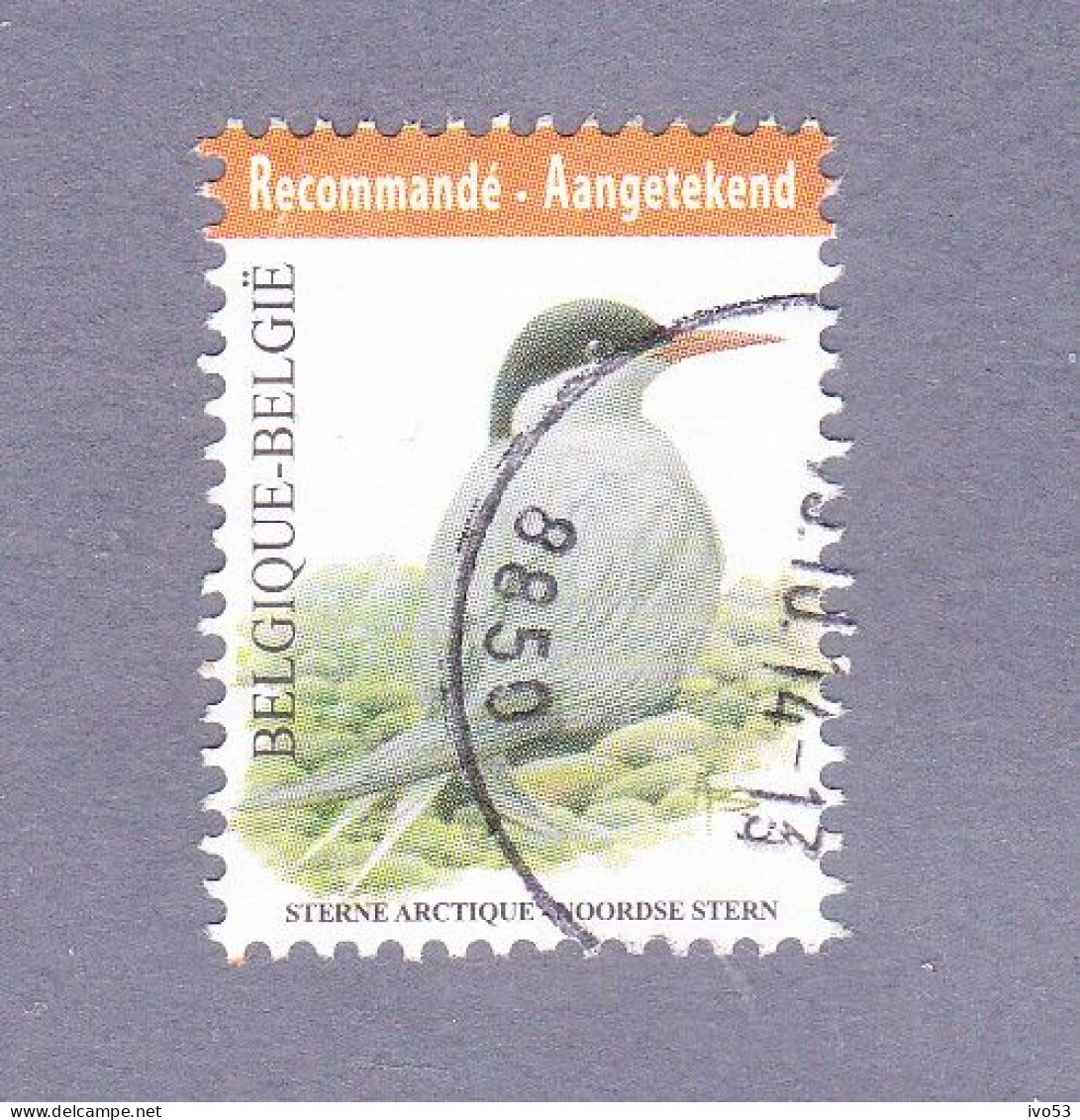 2013 Nr 4306 Gestempeld Op Fragment.Vogel:Noordse Stern / Sterne Arctique. - Gebraucht