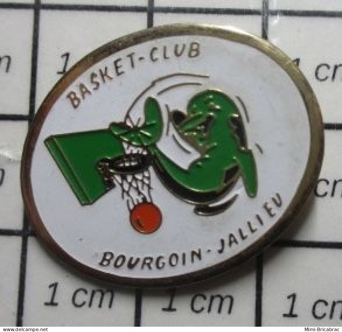 713M Pin's Pins / Beau Et Rare / TSPORTS / CLUB BASKET BOURGOIN JALLIEU DAUPHIN VERT - Baloncesto