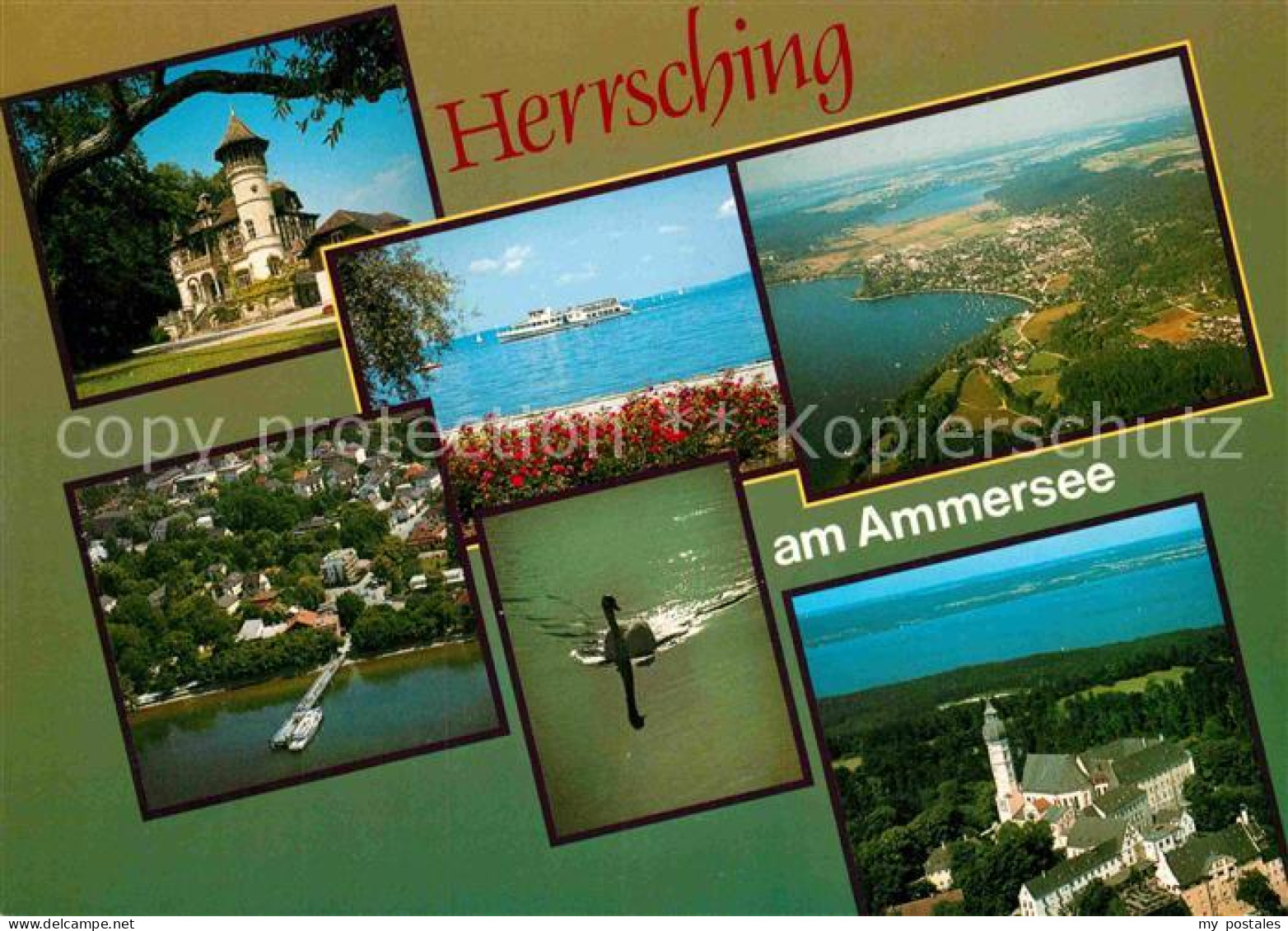 72901390 Herrsching Ammersee Schwan Fliegeraufnahme Schloss  Herrsching A.Ammers - Herrsching