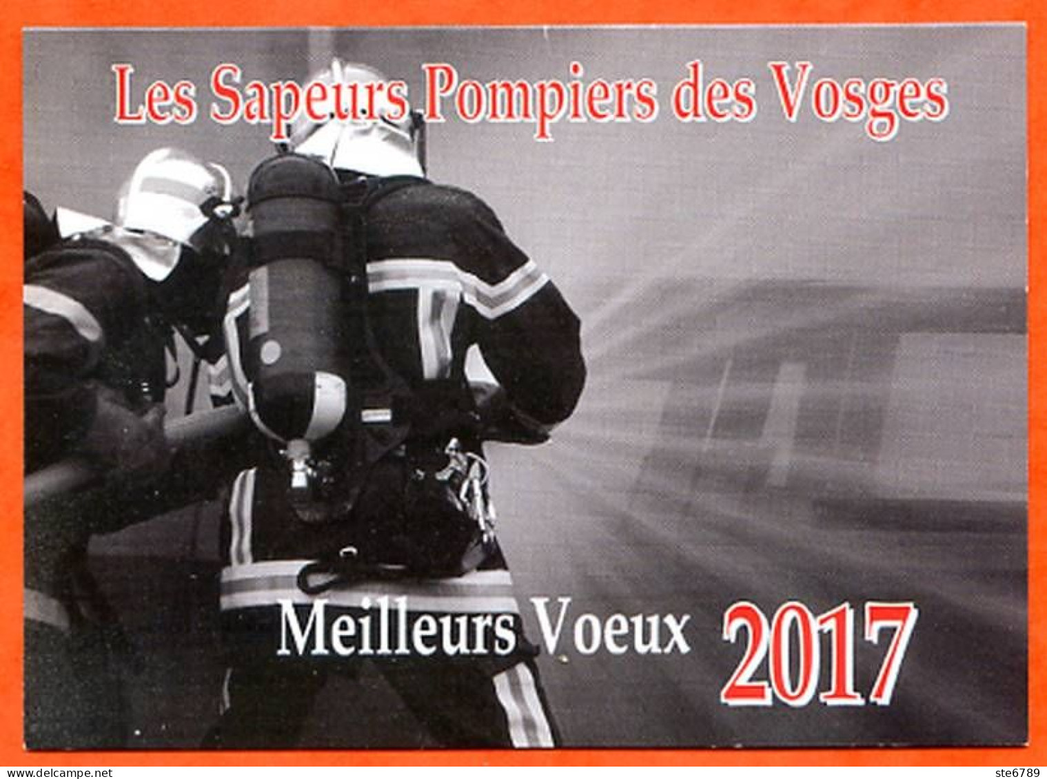 Mini Calendrier 2017 Sapeurs Pompiers Vosges - Petit Format : 2001-...