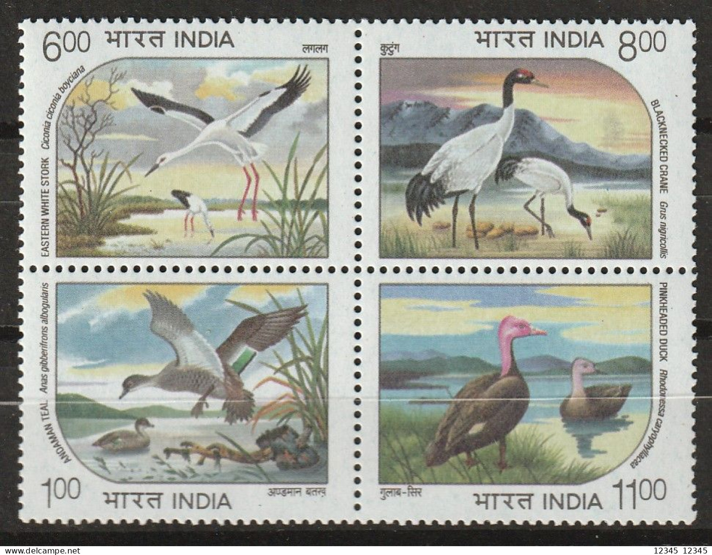 India 1994, Postfris MNH, Birds (greyish Paper) - Ungebraucht