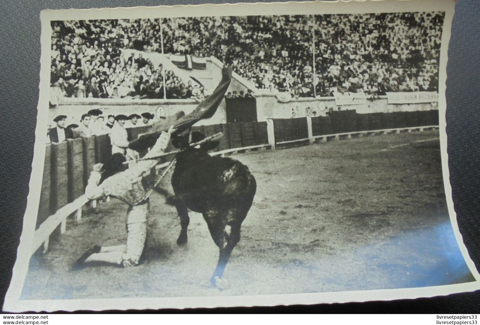 CPA Courses De Toros Une Passe De Poitrine à Genoux - Taureaux