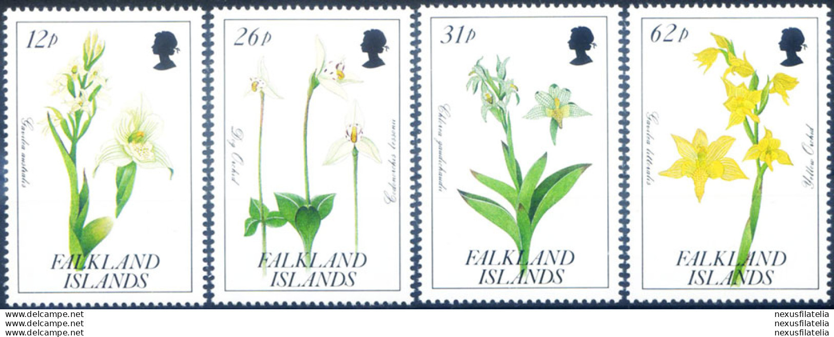 Flora. Orchidee 1991. - Falkland