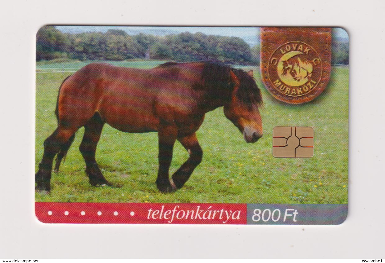HUNGARY  - Horse Chip Phonecard - Hungary