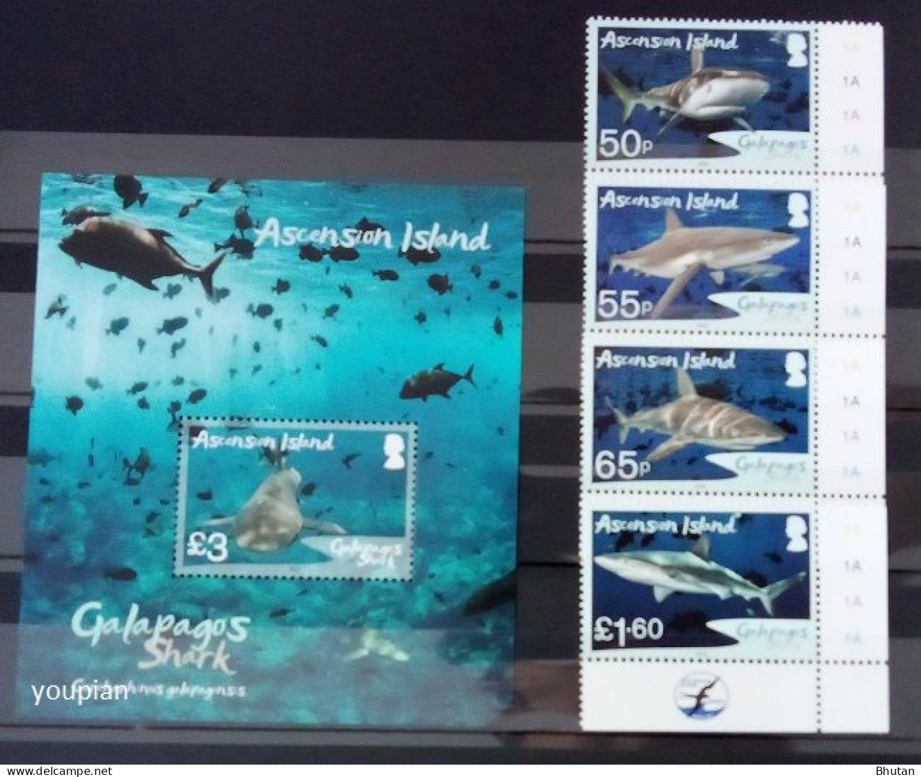 Ascension Island 2022, Galapagos Sharks, MNH S/S And Stamps Set - Ascension