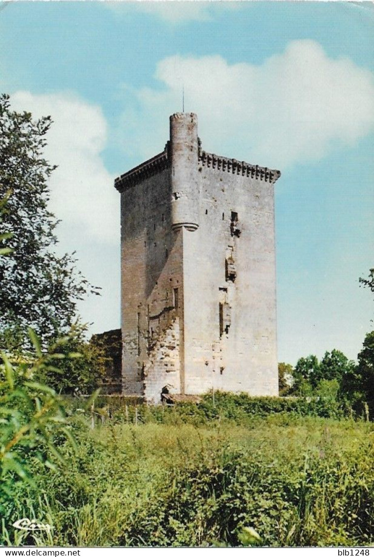 [33] Gironde > Lesparre Medoc  La Tour De L' Honneur 00 - Lesparre Medoc