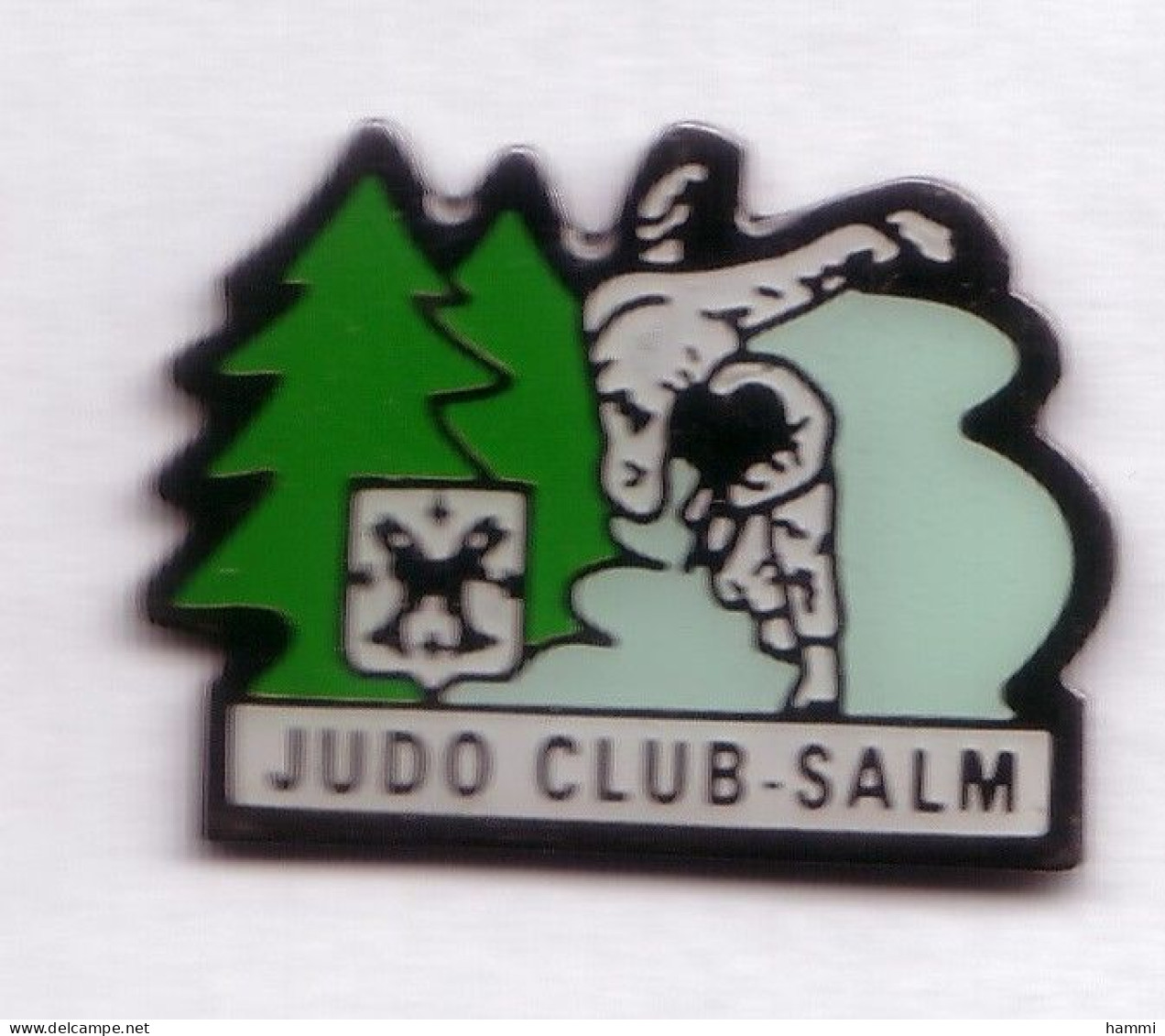 C68 Pin's JUDO CLUB SENONES VOSGES La Principauté De Salm Salm SAPIN Achat Immédiat - Judo