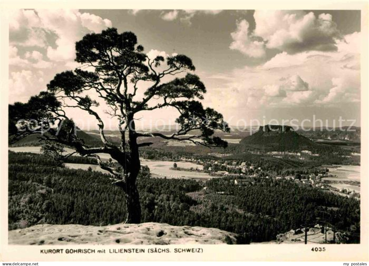 72895848 Gohrisch Landschaftspanorama Mit Lilienstein Tafelberg Saechsische Schw - Gohrisch