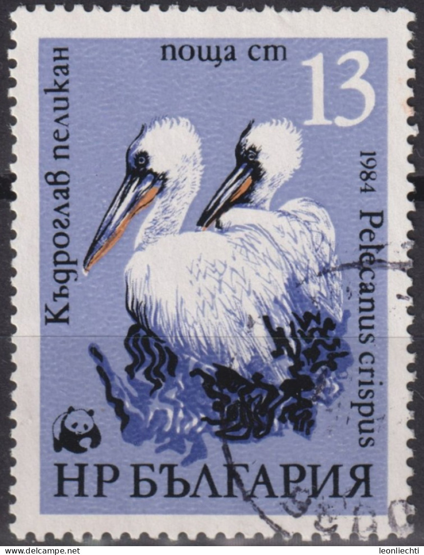 1984 Bulgarien ° Mi:BG 3304, Sn:BG 3009, Yt:BG 2870, Dalmatian Pelican (Pelecanus Crispus), WWF Pelicans - Oblitérés