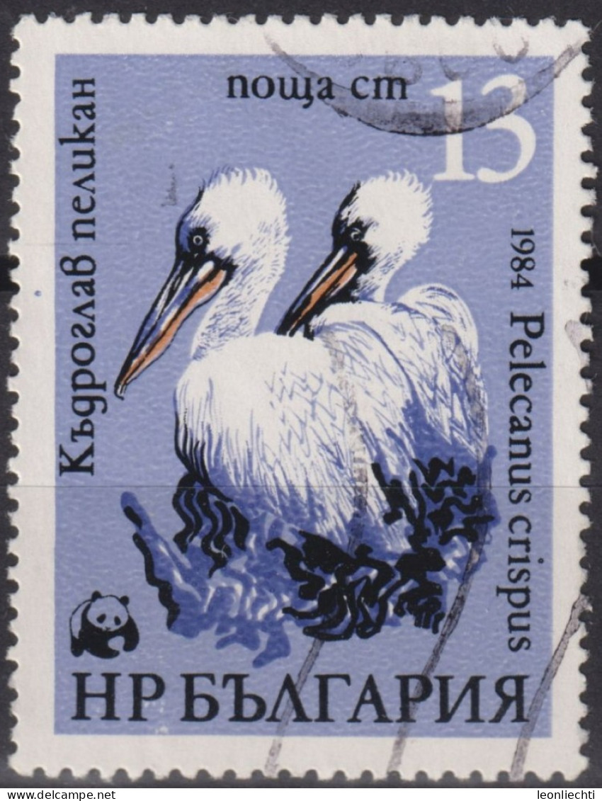 1984 Bulgarien ° Mi:BG 3304, Sn:BG 3009, Yt:BG 2870, Dalmatian Pelican (Pelecanus Crispus), WWF Pelicans - Usados