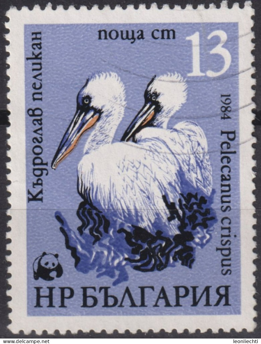 1984 Bulgarien ° Mi:BG 3304, Sn:BG 3009, Yt:BG 2870, Dalmatian Pelican (Pelecanus Crispus), WWF Pelicans - Pelikanen