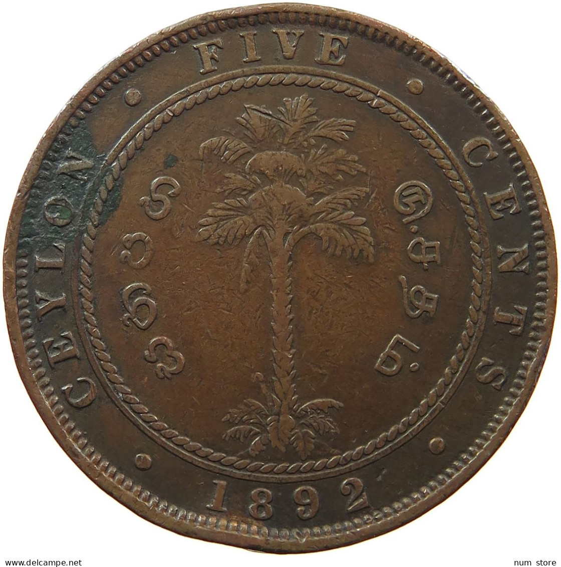 CEYLON 5 CENTS 1892 #sm12 0287 - Sri Lanka (Ceylon)