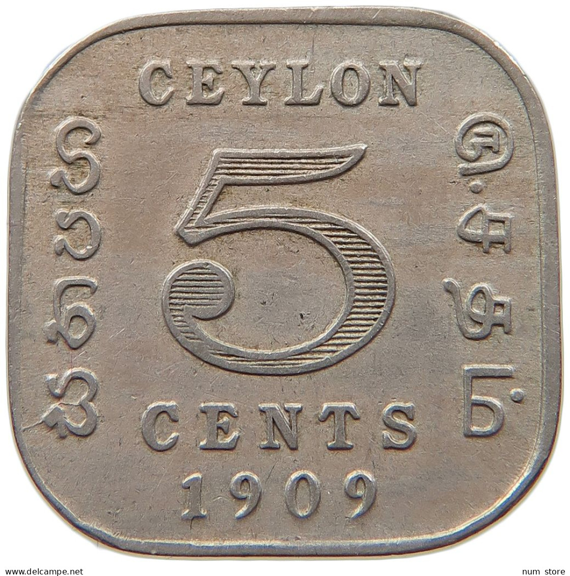 CEYLON 5 CENTS 1909 #s096 0525 - Sri Lanka