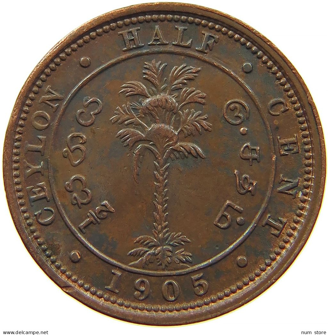 CEYLON 1/2 CENT 1905 #s096 0619 - Sri Lanka (Ceylon)