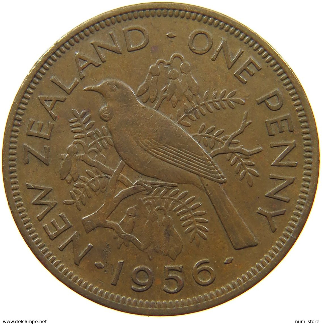 NEW ZEALAND PENNY 1956 #s099 0279 - Neuseeland