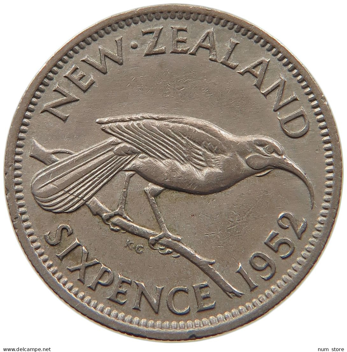 NEW ZEALAND 6 PENCE 1952 #s091 0531 - Nuova Zelanda