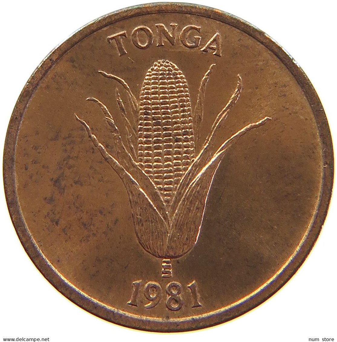 TONGA SENITI 1981 #s096 0053 - Tonga