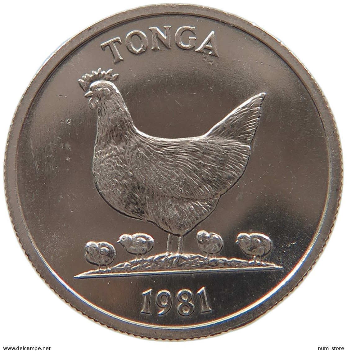 TONGA 5 SENITI 1981 #s096 0361 - Tonga