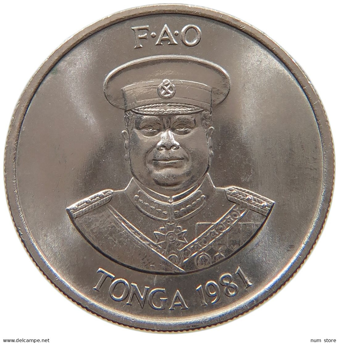 TONGA 10 SENITI 1981 #s093 0141 - Tonga